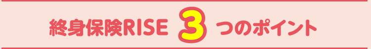 終身保険RISE 3つのポイント