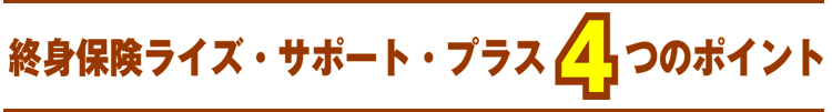 終身保険ライズ・サポート・プラス4つのポイント