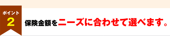 ポイント2　保険金額をニーズに合わせて選べます。