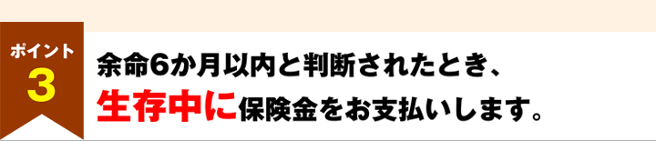 ポイント3　余命6か月以内と判断されたとき、生存中に保険金をお支払いします。